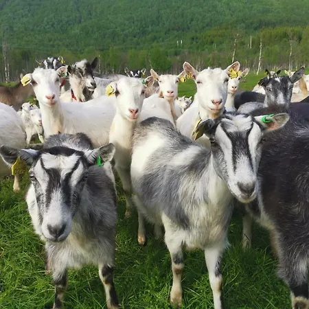 House At The Farm! Сasa de vacaciones Tromsø