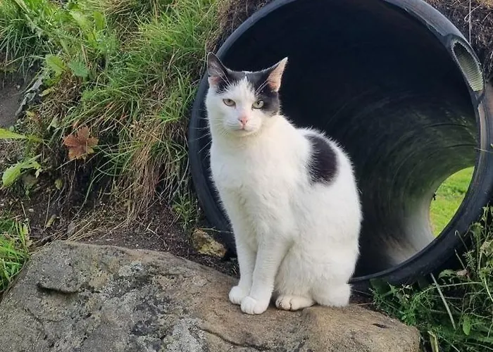 House At The Farm! Сasa de vacaciones *